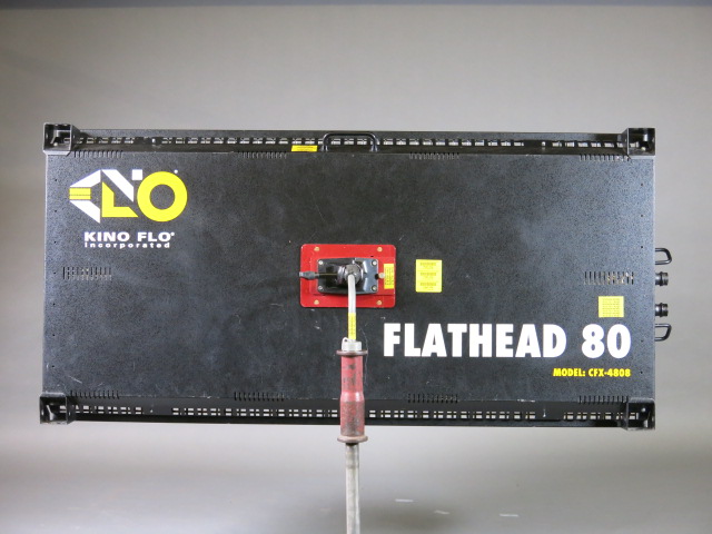 Flathead 80 head back